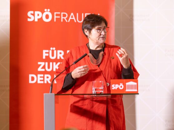 Johanna-Dohnal-Preise 2025, Petra Bayr