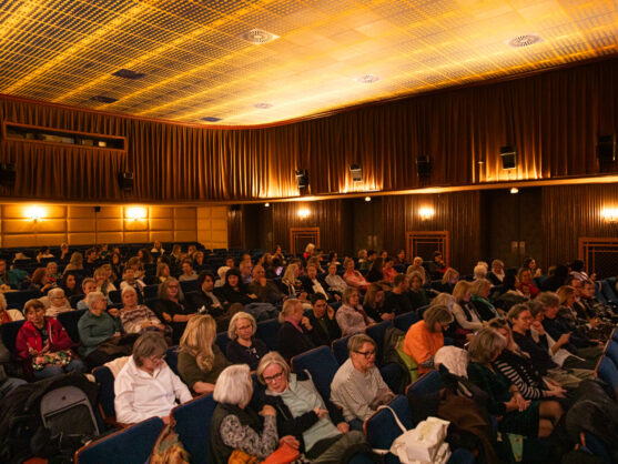 Publikum beim Filmabend "Die letzte Botschafterin"
